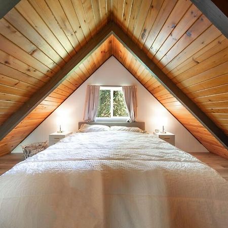 R & R Chalet At Mt. Rainier Ashford Exterior foto