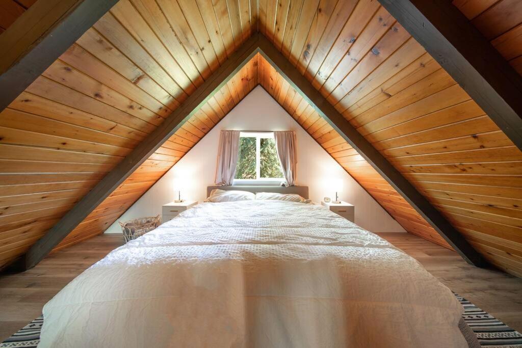 R & R Chalet At Mt. Rainier Ashford Exterior foto